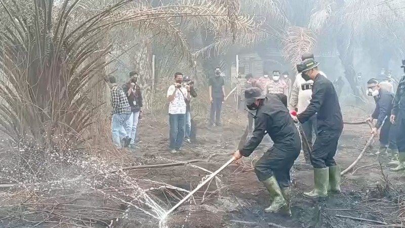 Polda Kalimantan Tengah (Kalteng) mendapat dukungan inovasi dari Korbrimob Polri untuk menangani kebakaran hutan dan lahan (karhutla), khususnya di kawasan gambut.