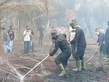 Polda Kalimantan Tengah (Kalteng) mendapat dukungan inovasi dari Korbrimob Polri untuk menangani kebakaran hutan dan lahan (karhutla), khususnya di kawasan gambut.  (Dok. Polda Kalimantan Tengah)