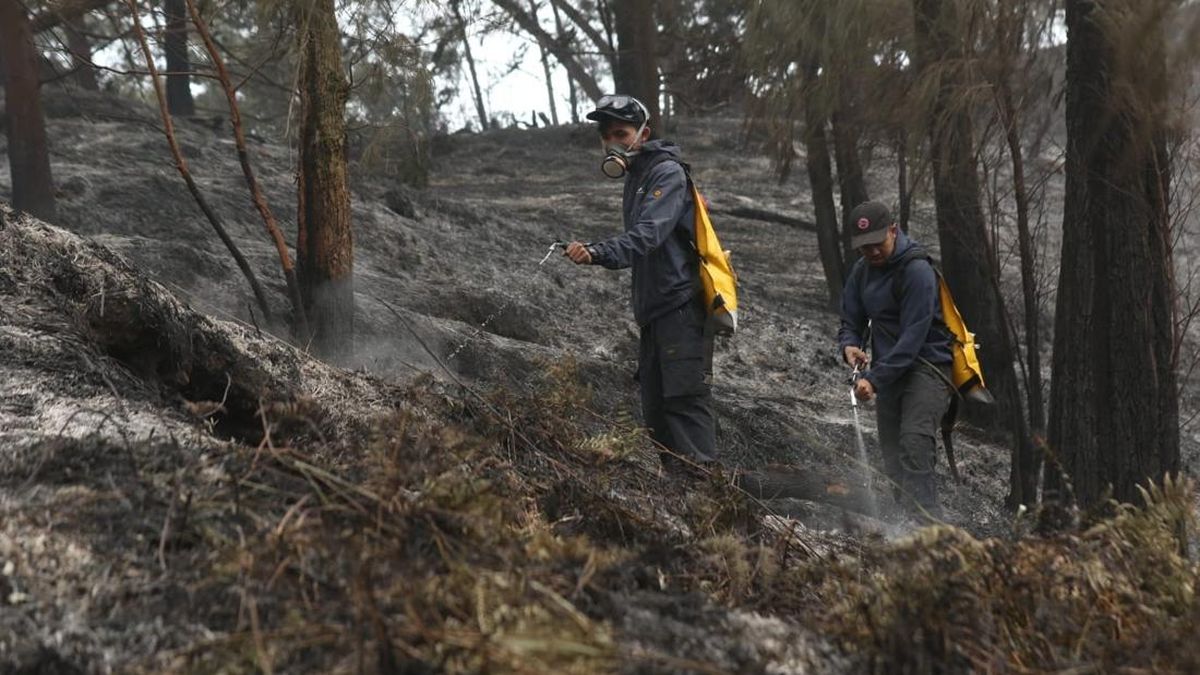300 Pelaku Wisata Jibaku Padamkan Karhutla Gunung Ijen