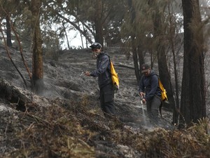 300 Pelaku Wisata Jibaku Padamkan Karhutla Gunung Ijen