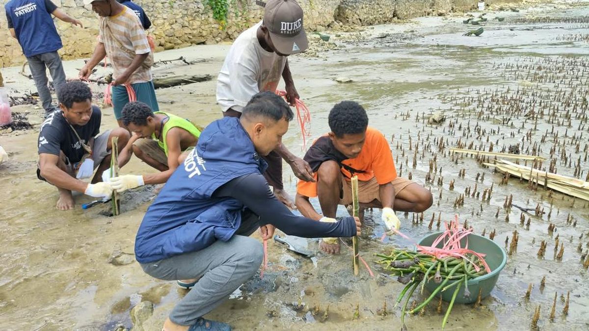 Unhas Tanam 1.500 Mangrove Bersama Warga Kampung Saharey Fakfak