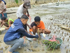 Unhas Tanam 1.500 Mangrove Bersama Warga Kampung Saharey Fakfak