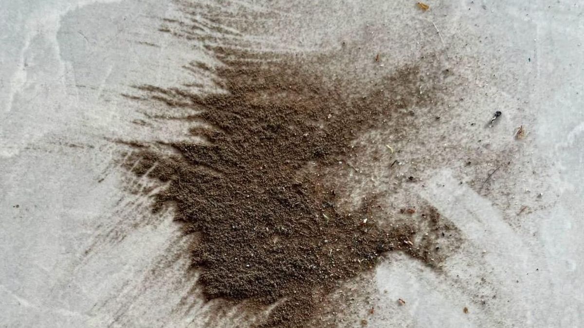Manfaat Abu Vulkanik Erupsi Gunung Api, Bisa 'Hidupkan Ulang' Bumi