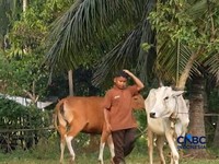 Kelompok Tani Mekar Seja