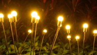 Nggak Mau Ribet Instalasi Kabel? Ini Lampu Taman Tenaga Surya yang Memudahkan