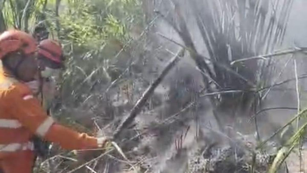 Hutan Gunung Sumbing Wilayah Temanggung Terbakar