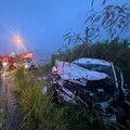 Seorang ibu dan putranya meninggal dalam kecelakaan mobil di Kabupaten Hualien pada hari Jumat setelah sebuah truk yang melaju menyeberang ke jalur mereka dan menabrak kendaraan mereka. Sopir truk terluka parah. (Dok. Hualien County Fire Department)
