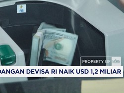 Agustus 2026, Cadangan Devisa RI Naik USD 1,2 Miliar