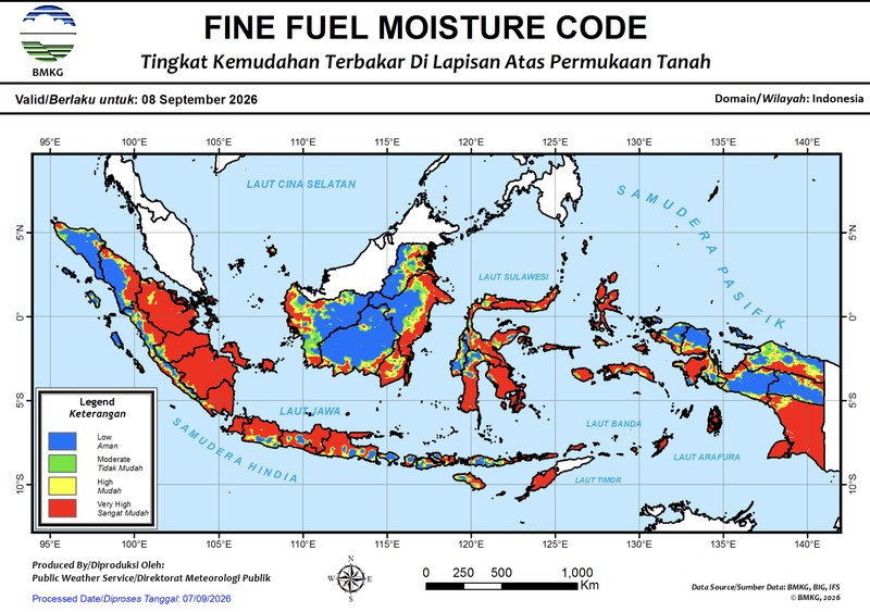 Kebakaran Hutan Terus Rambah Hutan-Lahan RI Saat El Nino Sangat Kuat. (Dok BPBD)