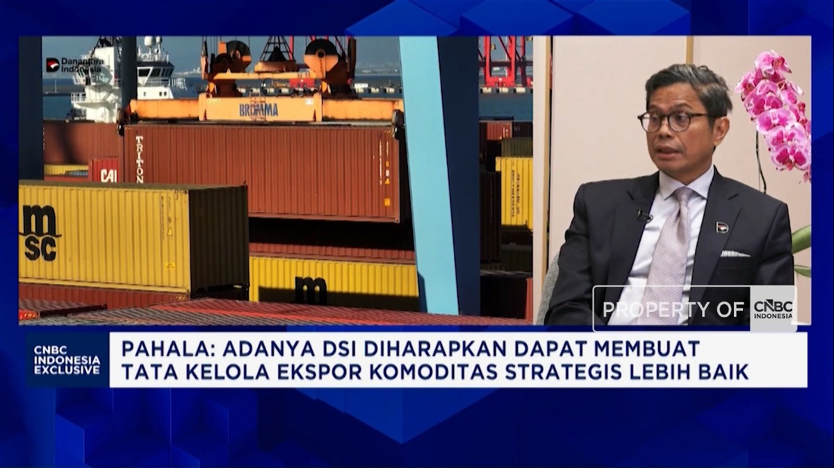 Video:Danantara Biayai Proyek Jangka Panjang Lewat DDMF, Ini Targetnya