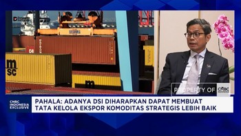 Danantara Biayai Proyek Jangka Panjang Lewat DDMF, Ini Targetnya!