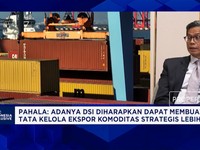Danantara Biayai Proyek Jangka Panjang Lewat DDMF, Ini Targetnya!