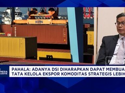 Danantara Biayai Proyek Jangka Panjang Lewat DDMF, Ini Targetnya!