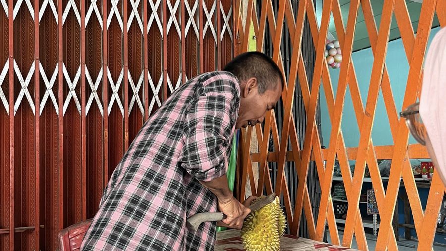 Durian Balai Karangan dan Sejuta Potensi di Sungai Sekayam. (Dok Ist)