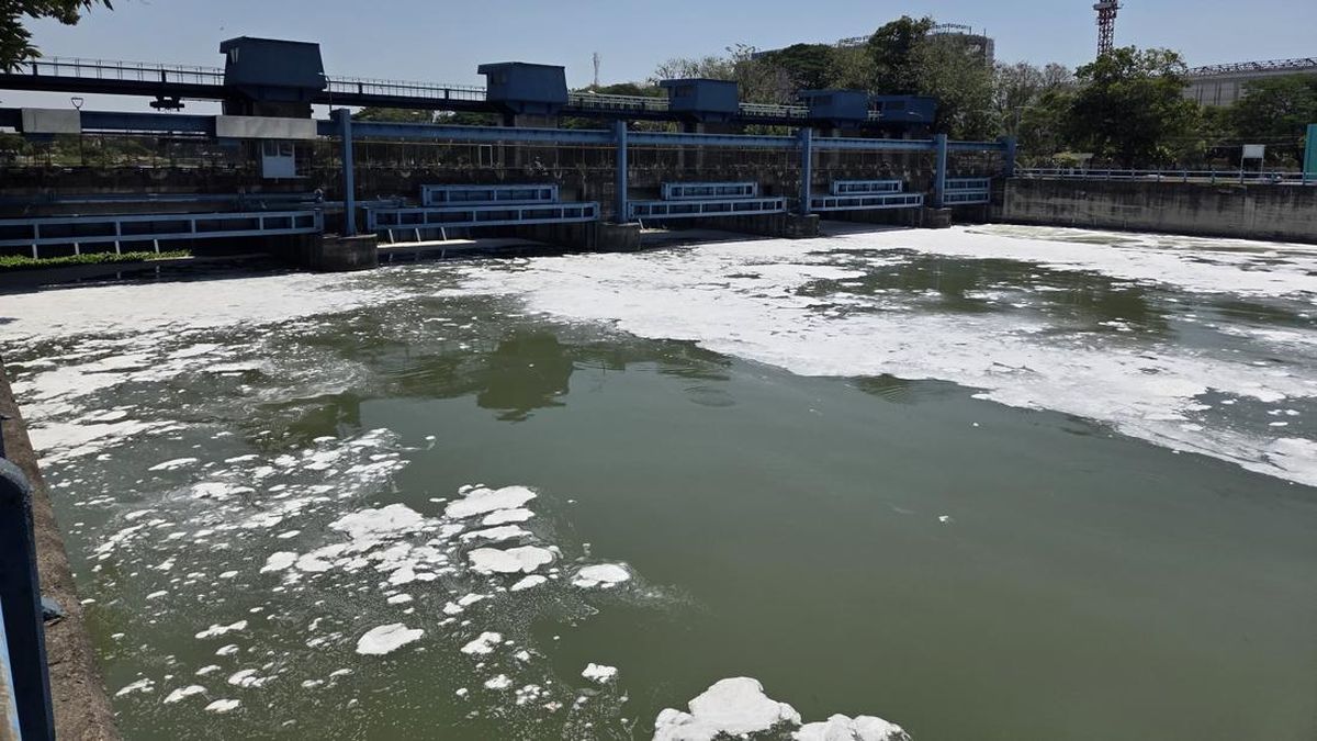 Ramai Sungai Surabaya Berbusa hingga Warga Berburu Ikan Mabuk
