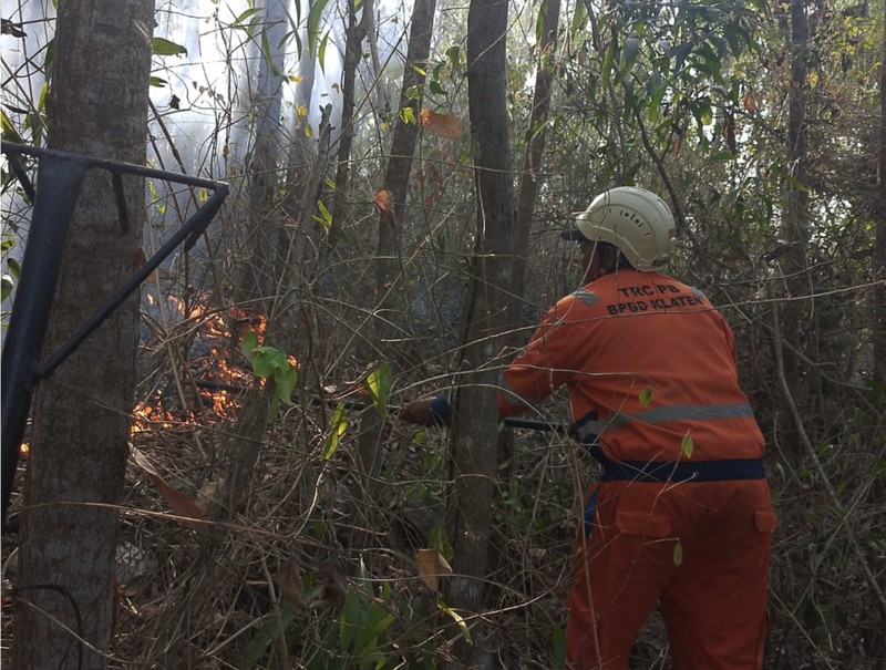 Kebakaran Hutan Terus Rambah Hutan-Lahan RI Saat El Nino Sangat Kuat. (Dok BPBD)