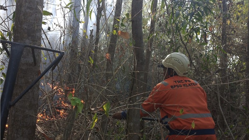 Kebakaran Hutan Terus Rambah Hutan-Lahan RI Saat El Nino Sangat Kuat. (Dok BPBD)