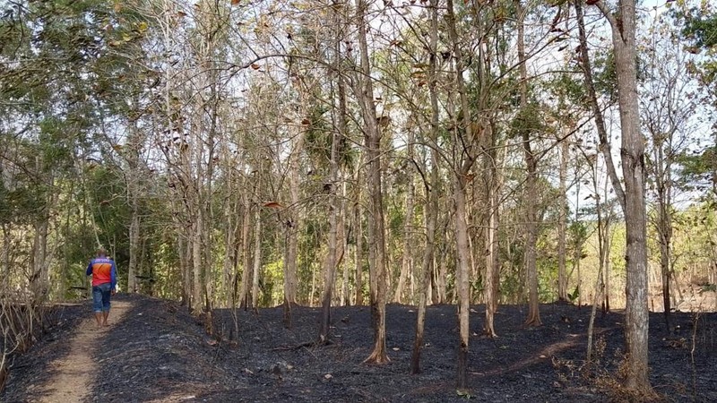 Kebakaran Lahan