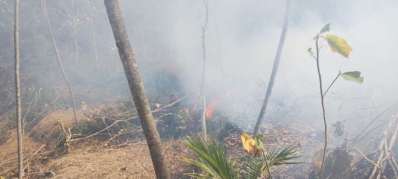 Kebakaran Hutan Terus Rambah Hutan-Lahan RI Saat El Nino Sangat Kuat. (Dok BPBD)