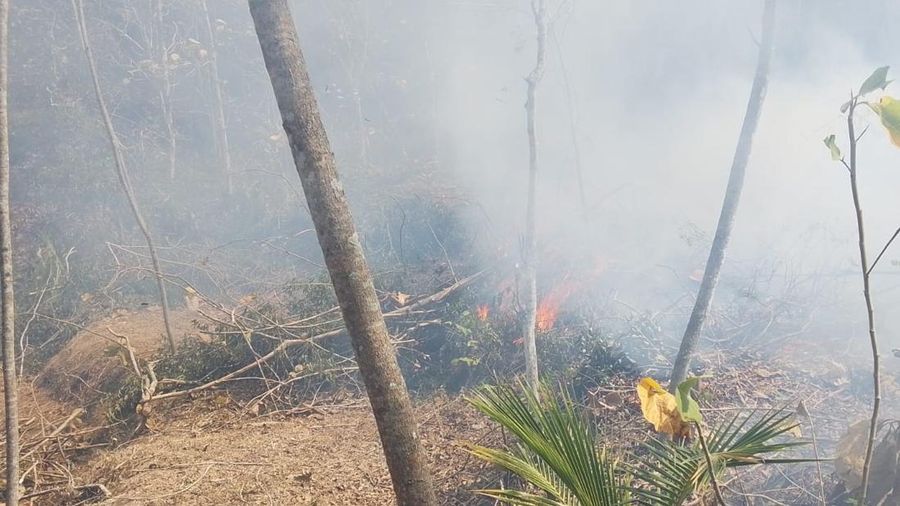 Petugas gabungan berusaha memadamkan lahan seluas 6.05 hektare yang terbakar di Kabupaten Banyumas, Provinsi Jawa Tengah (6/9) (Dokumentasi BPBD Kabupaten Banyumas)