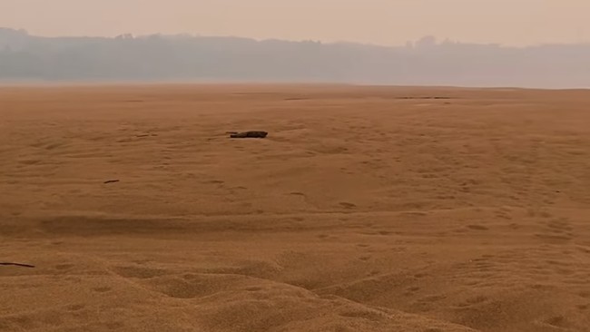 Sungai Raksasa RI Berubah Jadi Gurun Pasir, Kalimantan Bak Negeri Arab