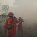 Kementerian Kehutanan bersama tim gabungan terus memperkuat pengendalian kebakaran hutan dan lahan (karhutla) di enam provinsi prioritas.  Foto rilis pada Senin, 7/9/2026.  (Dok Rilis Kehutanan.go.id)
