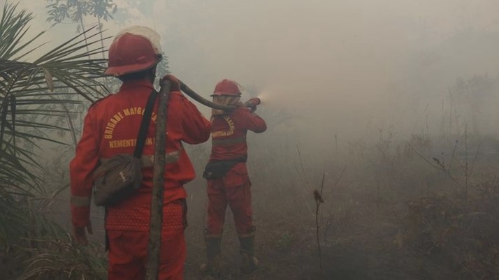 Kementerian Kehutanan bersama tim gabungan terus memperkuat pengendalian kebakaran hutan dan lahan (karhutla) di enam provinsi prioritas.  Foto rilis pada Senin, 7/9/2026.  (Dok Rilis Kehutanan.go.id)