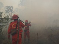 Kementerian Kehutanan bersama tim gabungan terus memperkuat pengendalian kebakaran hutan dan lahan (karhutla) di enam provinsi prioritas.  Foto rilis pada Senin, 7/9/2026.  (Dok Rilis Kehutanan.go.id)