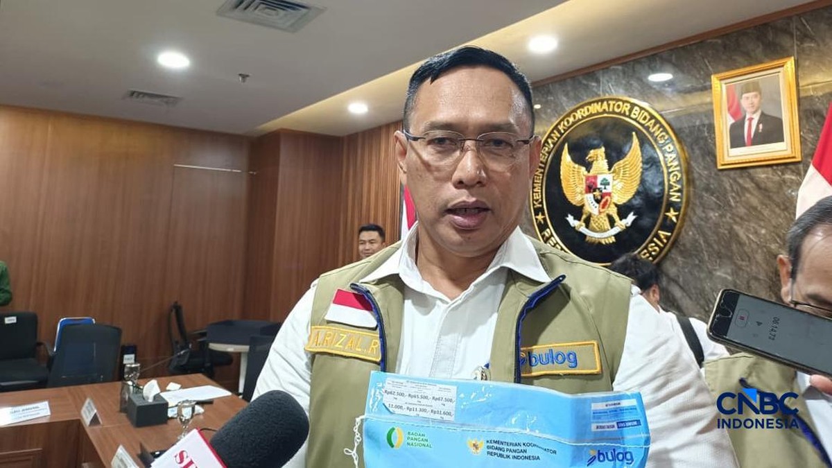Bulog Mau Ubah 380 Ribu Ton Beras Umur 10 Tahun Jadi Tepung, Ada Apa?