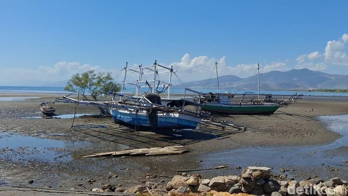 Gempa M 7,7 Rusak Perahu hingga Tambak Garam di Nagekeo NTT