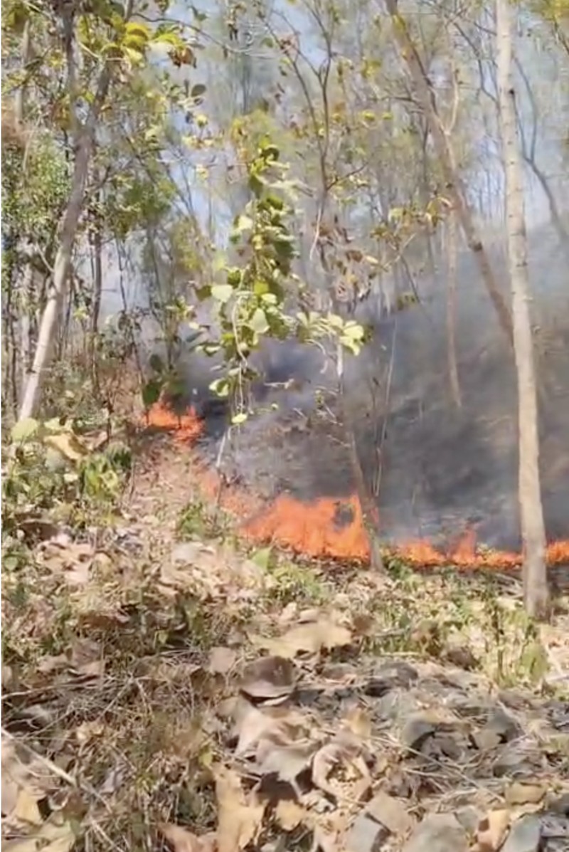 Kebakaran Hutan Terus Rambah Hutan-Lahan RI Saat El Nino Sangat Kuat. (Dok BPBD)