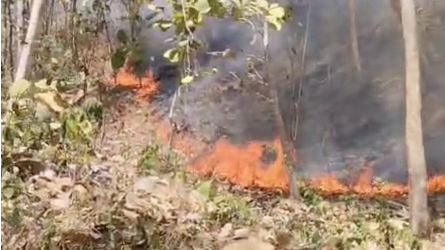 Perkembangan Situasi dan Penanganan Bencana di Tanah Air 7 September 2026. (Dok BNPB)