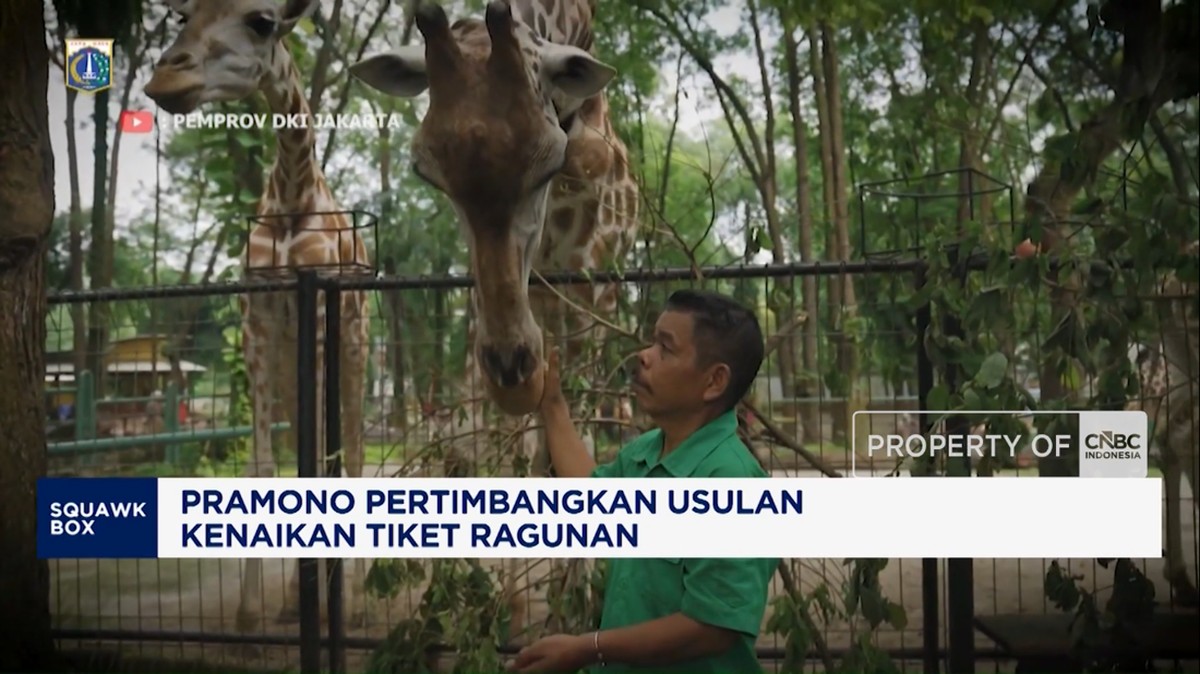 Video: Pramono Pertimbangkan Usulan Kenaikan Tiket Ragunan