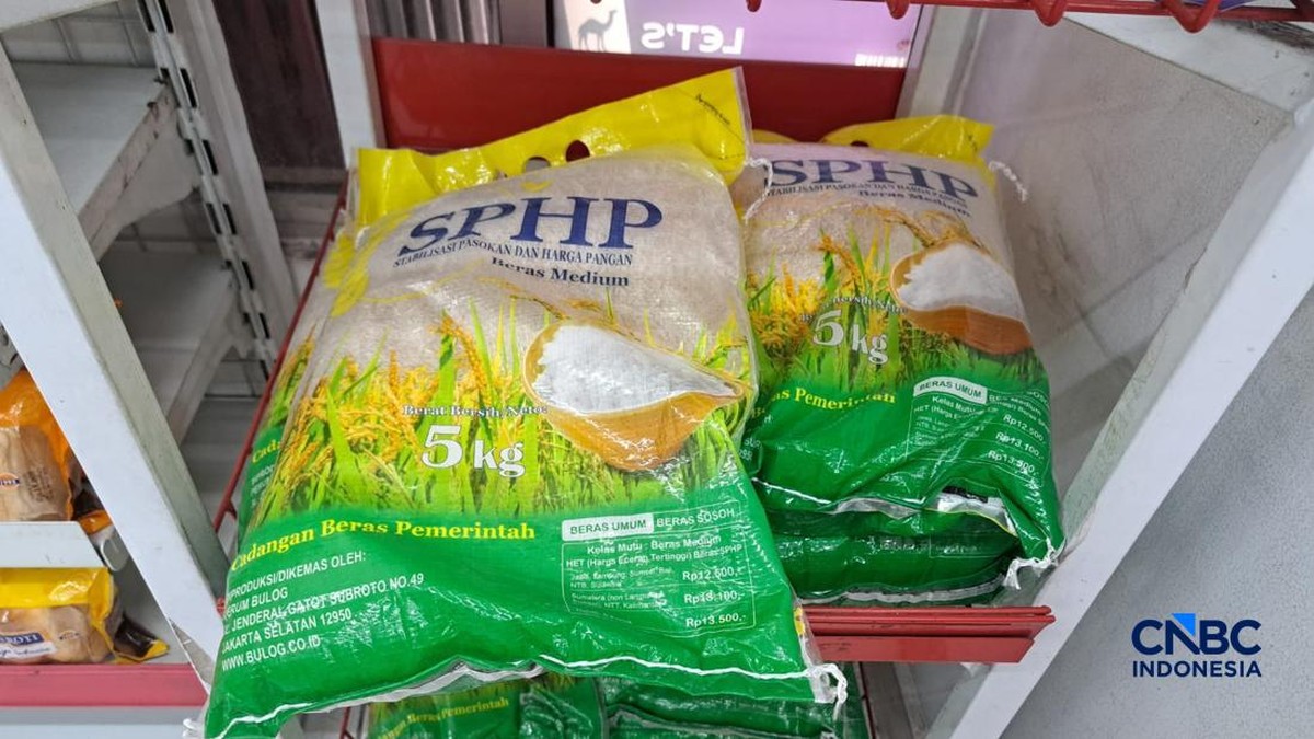 Bos Bulog Sebut Butuh Rp 1,1 Triliun untuk Tambahan Beras SPHP