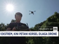 Suhu Ekstrem, Kini Petani Korsel Dijaga Drone