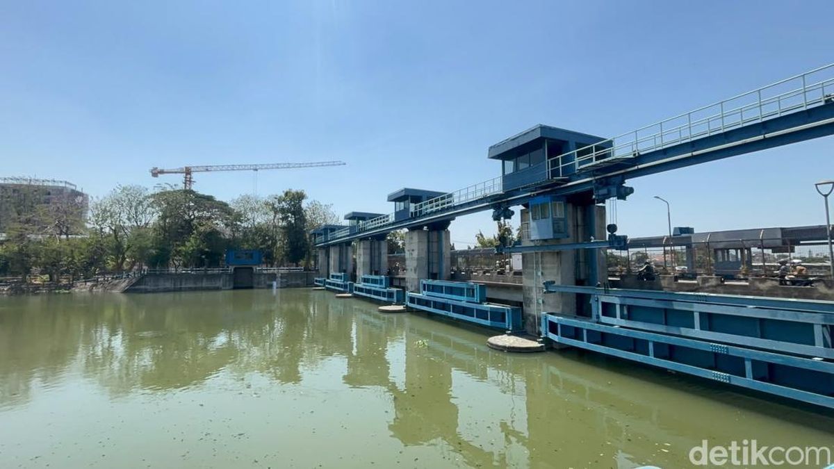 Kondisi Terkini Sungai Rolak-Kalimas Surabaya Usai Berbusa dan Ikan Mabuk