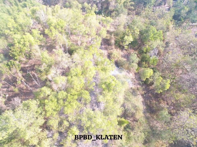 Kebakaran Hutan Terus Rambah Hutan-Lahan RI Saat El Nino Sangat Kuat. (Dok BPBD)