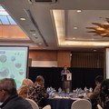 Asisten Deputi Pengembangan Kawasan Ekonomi dan Proyek Strategis Suroto.