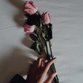 Bunga. (Pexels)