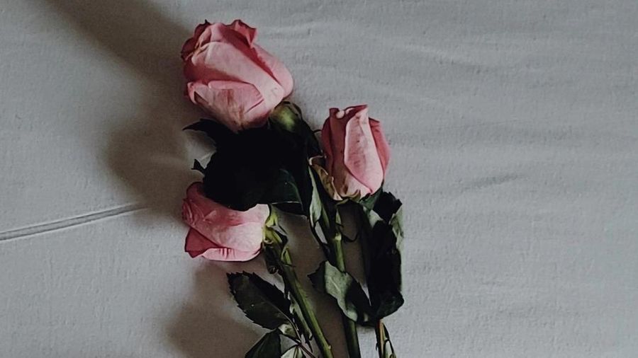 Bunga. (Pexels)