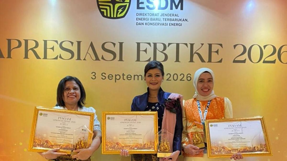 Investasi Energi Bersih RI Naik-Turun, ESDM Ungkap Apa yang Terjadi