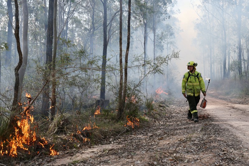 Harry Mortensen, seorang petugas pemadam kebakaran musiman dari Forestry Corporation New South Wales, membawa obor tetes saat melakukan pembakaran untuk pengurangan risiko kebakaran di Hutan Negara Bagian Uffington dekat Clarence Town, Australia, pada 7 September 2026. (REUTERS/Hollie Adams)