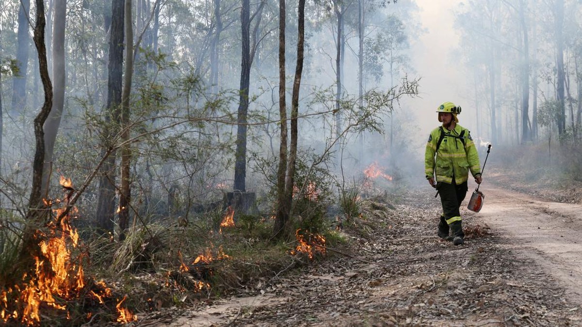 Belajar dari Pengalaman, Tetangga RI Siap-Siap Lawan Kebakaran Hutan