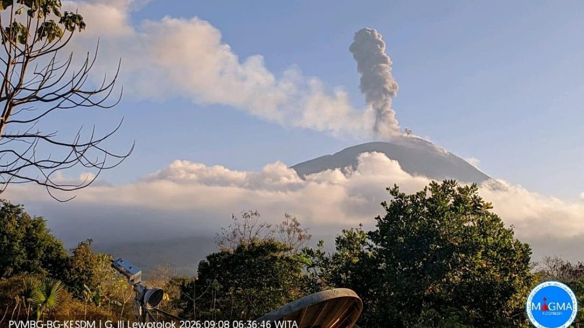 Abu Vulkanik Mirip Pasir Hujani 11 Desa di Lereng Gunung Ile Lewotolok
