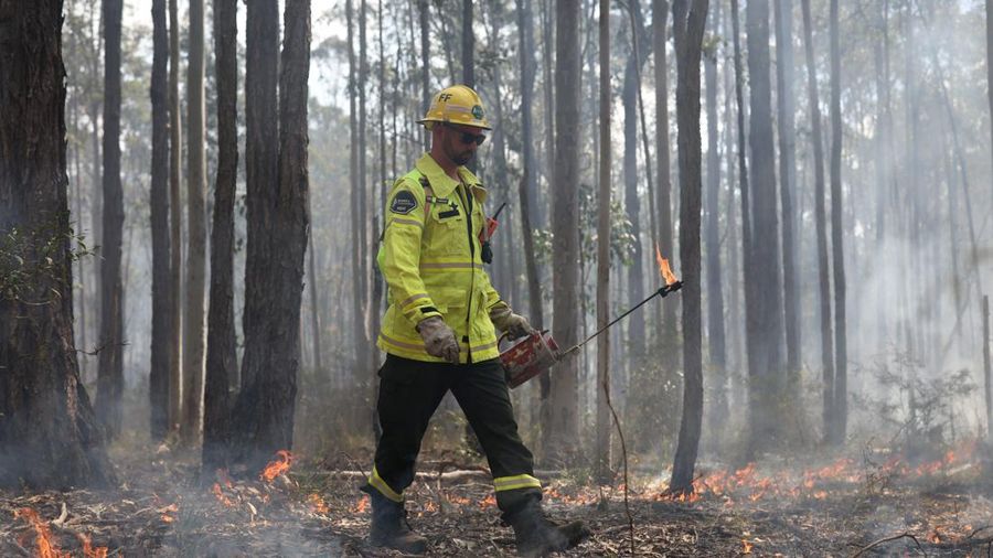 Jacob Berry, seorang petugas pemadam kebakaran musiman dari Forestry Corporation New South Wales, membawa obor tetes saat melakukan pembakaran untuk pengurangan risiko kebakaran di Hutan Negara Bagian Uffington dekat Clarence Town, Australia, pada 7 September 2026.