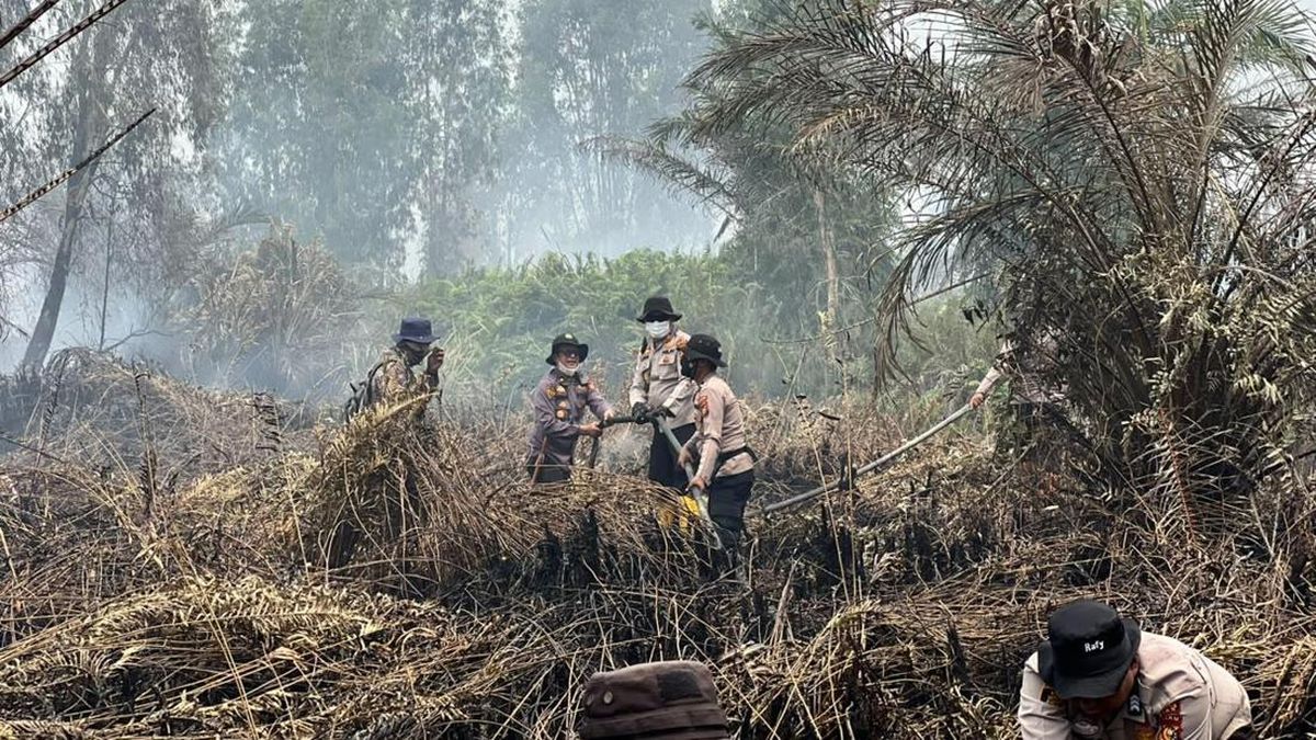Polisi Usut Pembuka Lahan di Siak, 2 Alat Berat Disita dari Lokasi Karhutla
