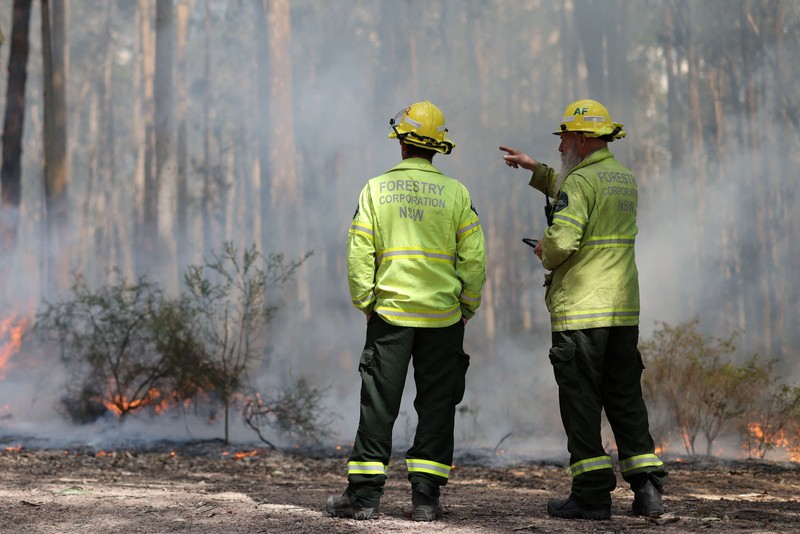 Harry Mortensen, seorang petugas pemadam kebakaran musiman dari Forestry Corporation New South Wales, membawa obor tetes saat melakukan pembakaran untuk pengurangan risiko kebakaran di Hutan Negara Bagian Uffington dekat Clarence Town, Australia, pada 7 September 2026. (REUTERS/Hollie Adams)