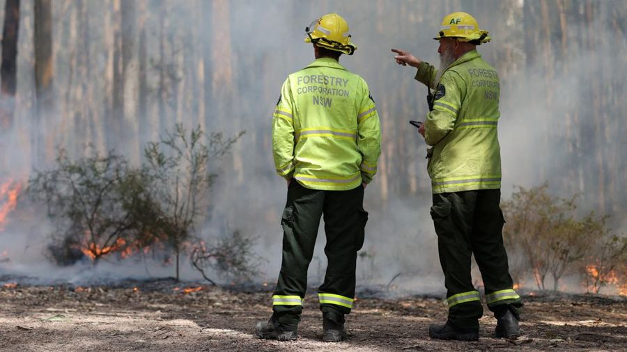 Petugas pemadam kebakaran Forestry Corporation NSW beraksi saat kegiatan pembakaran untuk pengurangan risiko kebakaran di Hutan Negara Bagian Uffington dekat Clarence Town, Australia, pada 7 September 2026.