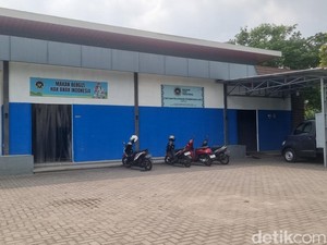 Keracunan MBG 4 SD di Jetis Bantul gegara Galantin Berbakteri