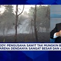 Bersyukur Kebun Sawit Tak Kena Karhutla, GAPKI Ikut Bantu Padamkan Kebakaran